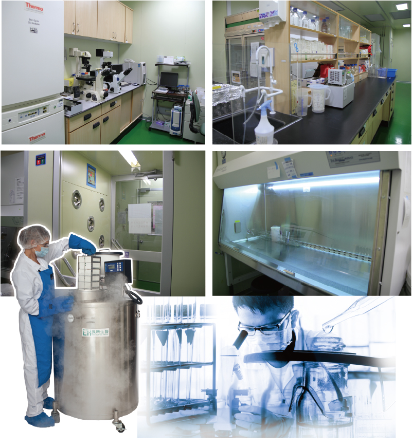 Features and benefits of Lab