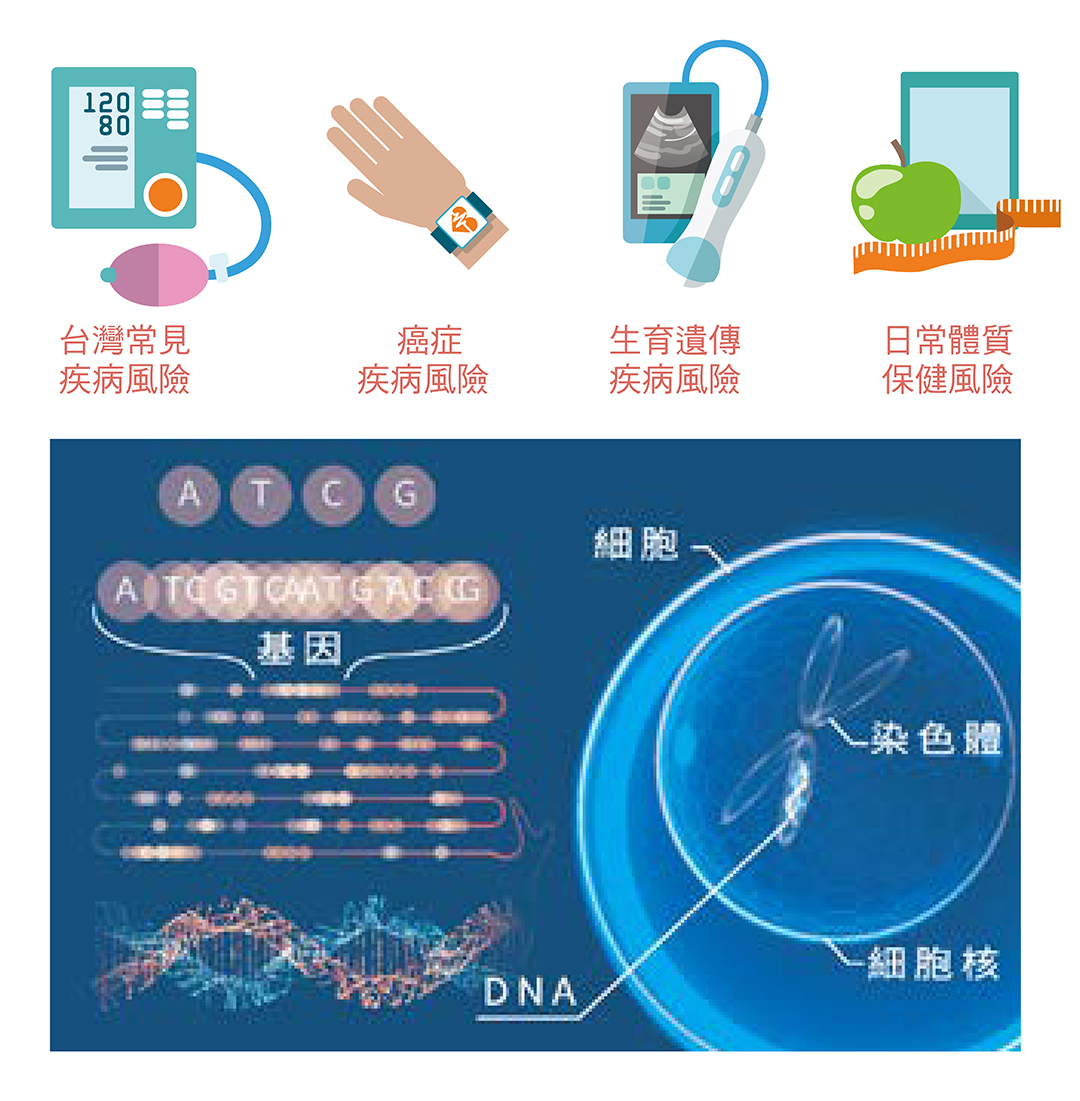 基因檢測介紹